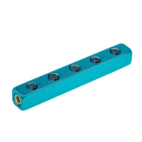 Manifold 5 Way